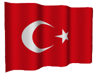 turkish flag 15 klein
