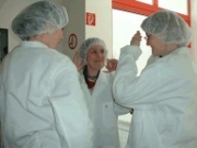 BRINKER5