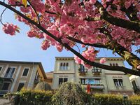 Biella im Frühling
