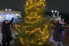 Tannenbaum